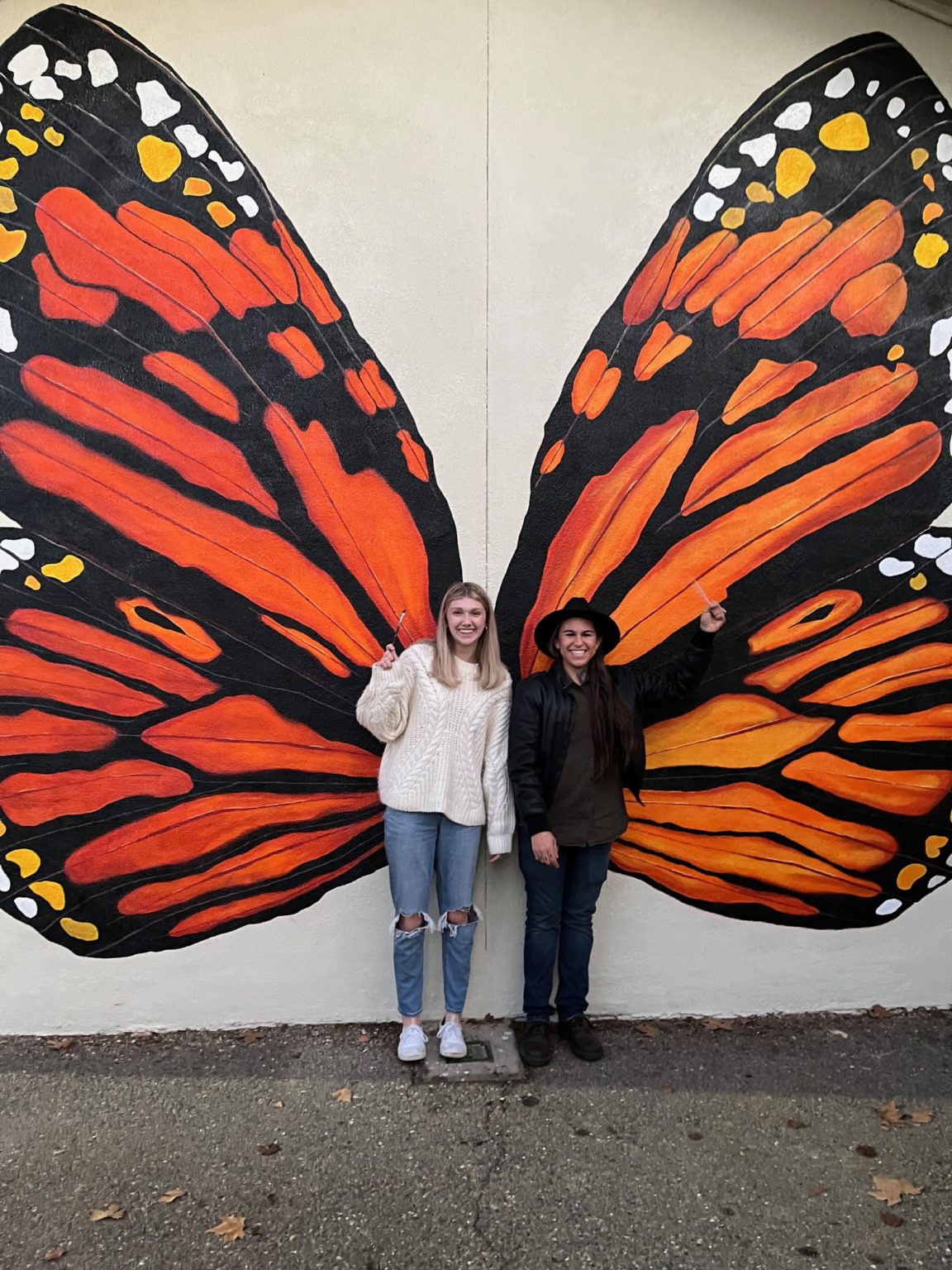 Student Murals – Mariposa Arts Council